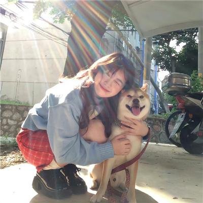 孤独的美食家 第六季