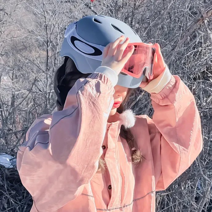 机动战士高达0079